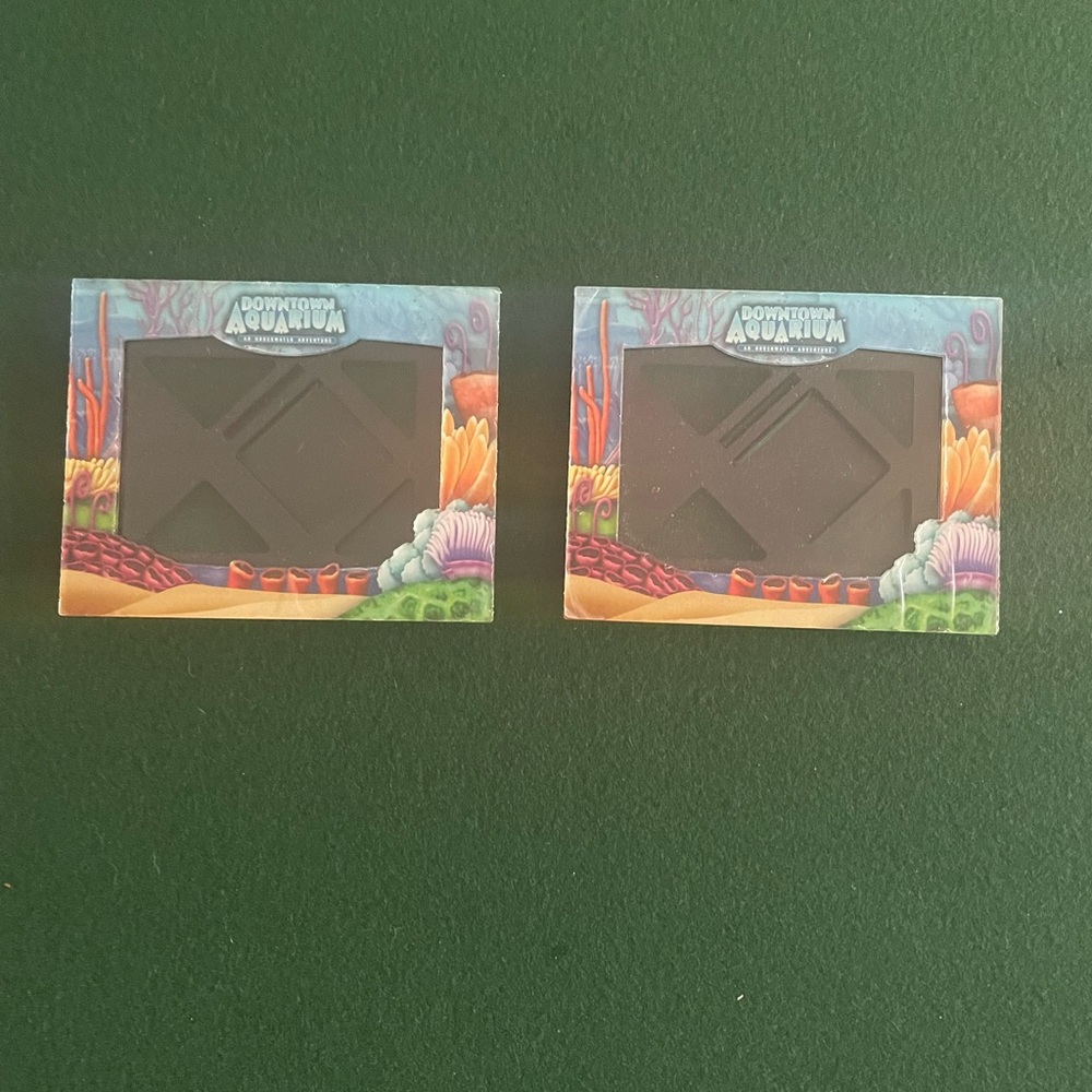 Houston Downtown Aquarium Novelty Frames